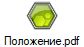 Положение.pdf